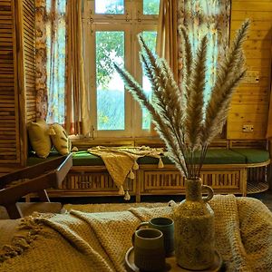Triple Room Mountain View